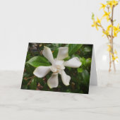 Gardenia, carte (Fleur jaune)