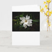 Gardenia, carte (Fleur jaune)