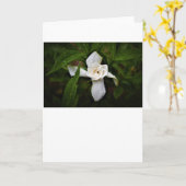 Gardenia, carte (Fleur jaune)