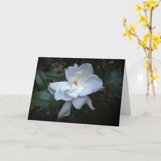 Gardenia, carte (Fleur jaune)