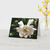 Gardenia, carte (Fleur jaune)