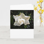 Gardenia, carte (Fleur jaune)