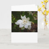 Gardenia, carte (Fleur jaune)