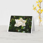 Gardenia, carte (Fleur jaune)