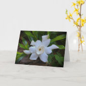 Gardenia, carte (Fleur jaune)