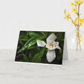 Gardenia, carte (Fleur jaune)