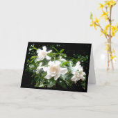 Gardénia, carte vierge (Fleur jaune)