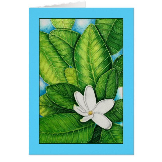 Gardénia de Tahitian (Devant)