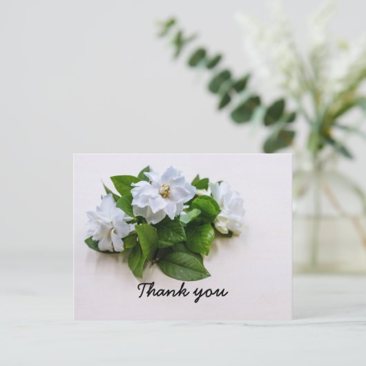 Gardenia fleurs Sympathy Merci Carte à plat (Debout devant)