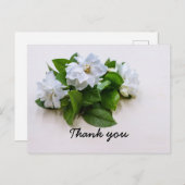 Gardenia fleurs Sympathy Merci Carte à plat (Devant / Derrière)