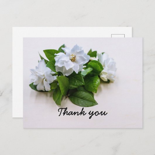 Gardenia fleurs Sympathy Merci Carte à plat (Devant / Derrière)