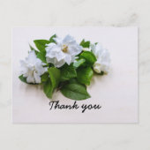 Gardenia fleurs Sympathy Merci Carte à plat (Devant)