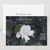 Gardenia Floral Enregistrer La Carte Date (Devant / Derrière)