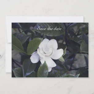 Gardenia Floral Save The Date Kaart