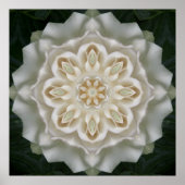 Gardenia Inner Glow Mandala Poster Imprimer (Devant)