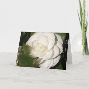 Gardenia Kaart