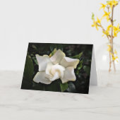 Gardenia, kaart (Gele Bloem)