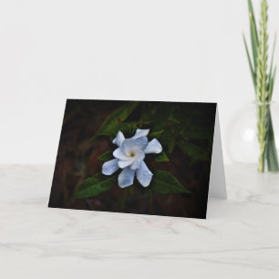 Gardenia, kaart