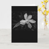 Gardenia - noir, carte (Fleur jaune)