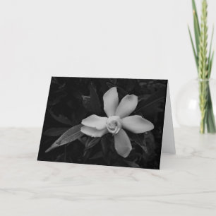 Gardenia - noir, carte