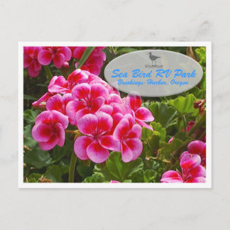 Gardenia Postcard Briefkaart