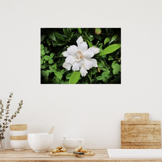 Gardenia Poster (Keuken)