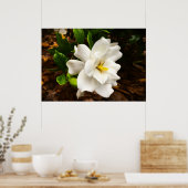 Gardenia Poster (Keuken)