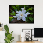 Gardenia Poster (Thuiskantoor)