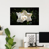 Gardenia Poster (Thuiskantoor)