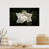 Gardenia Poster (Keuken)