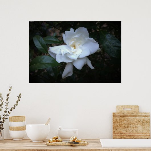 Gardenia Poster (Keuken)