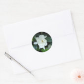 Gardenia Ronde Sticker (Envelop)