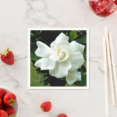 Gardenia Servet (Insitu)