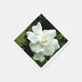 Gardenia Servet (Hoek)