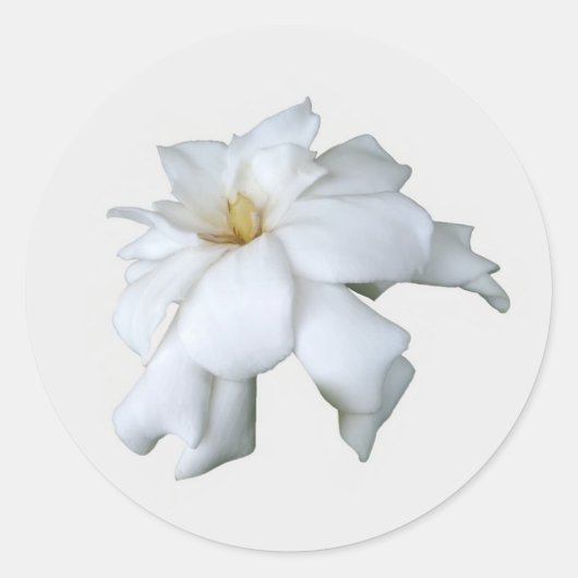 Gardenia Stickers (Voorkant)