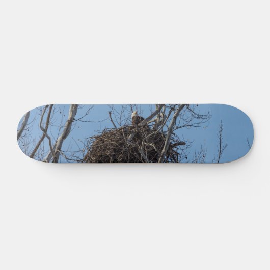 Garder Eagle Skateboard (Horz)
