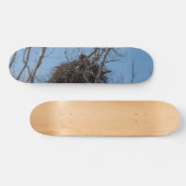 Garder Eagle Skateboard (Horz)