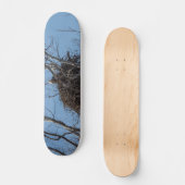Garder Eagle Skateboard (Recto)