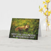 Garder la marmotte de fond dans la carte de la jou (Fleur jaune)