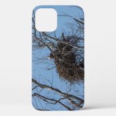 Garder le coque iphone d'aigle (Verso)