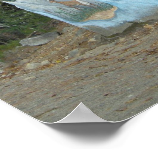 Garder Maine belle affiche (Coin)