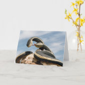 GARDER SNAKE  KAART (Gele Bloem)