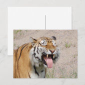 Gardez la carte postale de sourire (Devant / Derrière)