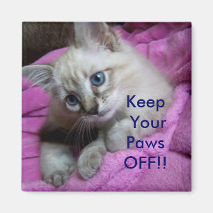 Gardez vos pattes ! ! AIMANT DE CASIER