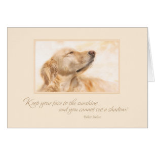 Gardez votre visage au soleil