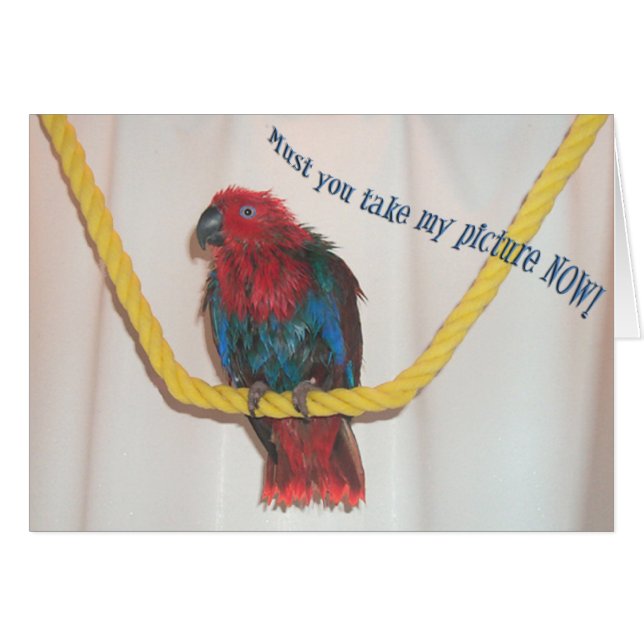 Gardiens (Devant horizontal)