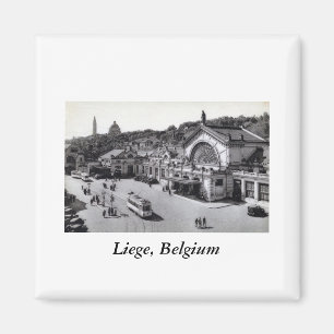 Gare des Guillemins, Liege Belgium Magneet
