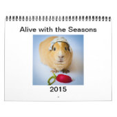 Garfunkel, de cavia's, de seizoensgebonden tips kalender (Hoes)