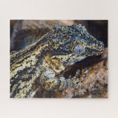 Gargoyle Gecko Pet Lizard Legpuzzel (Horizontaal)