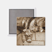 gargoyle magneet (Voorkant / Achterkant)